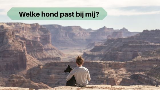 Welke hond past bij mij