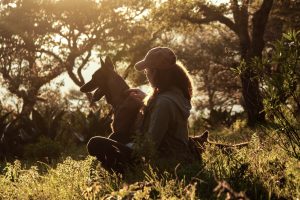 hond verzorging spelen