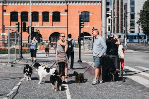 Mensen wandelen met de hond