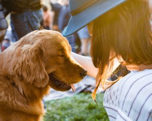 Hond met verlatingsangst