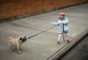 Een hond maakt deel uit van het gezin