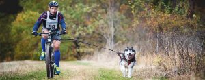 Bikejoring