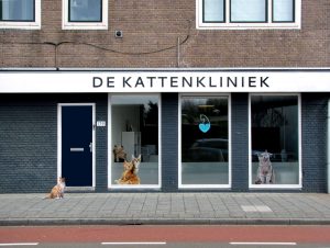 dierenarts