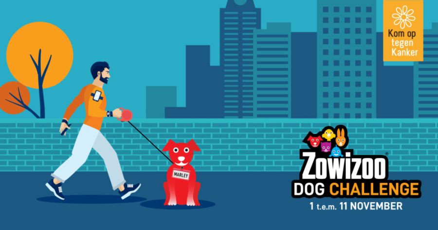 Zowizoo