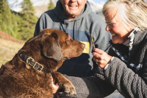 hond sterrenbeeld