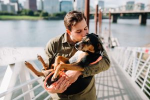 grote hond sterrenbeeld